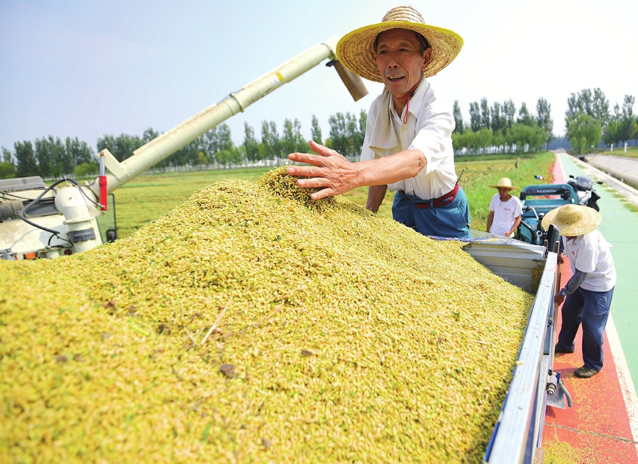 丰收节和花博会将同时在商河举办 济南庆祝2023年中国农民丰收节系列活动将以“1+1+4”形式开展 