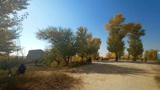 金秋写生季|西安美术学院师生走进统万城写生