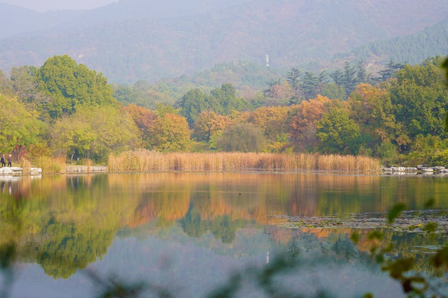 “增彩延绿”显成效 近百种彩叶植物扮靓国家植物园