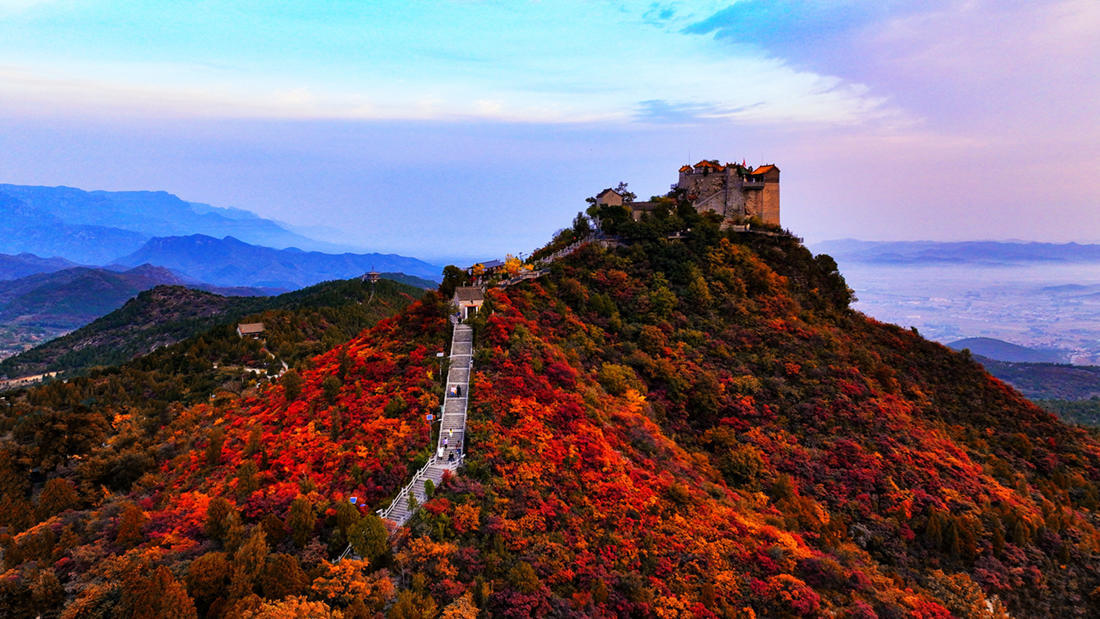 抬头仰望，山顶似与天际相接，云的颜色在红叶的映衬下愈发鲜艳。 万芮含 摄