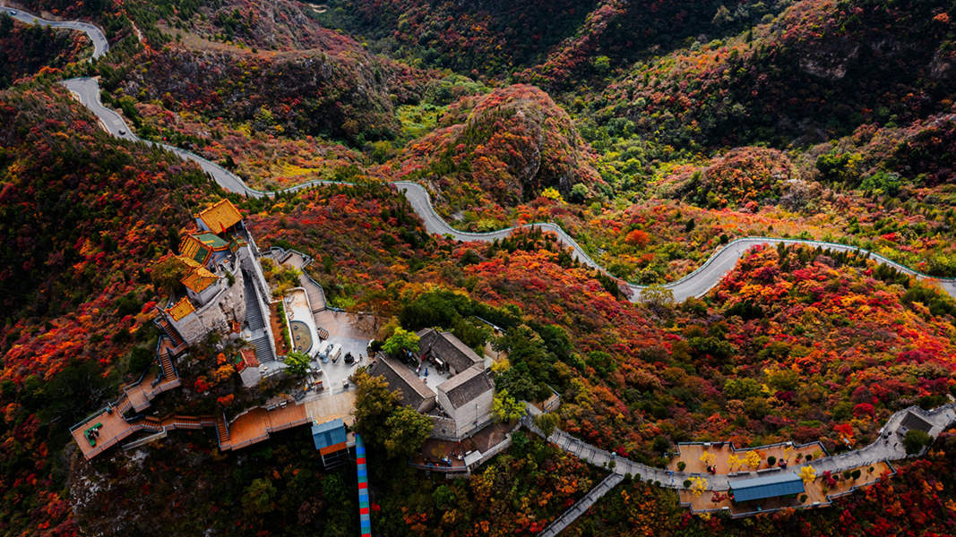 俯瞰柏尖景色，蜿蜒的公路为游客提供方便的同时，也将柏尖图景勾勒得更加清晰。黎忠 摄