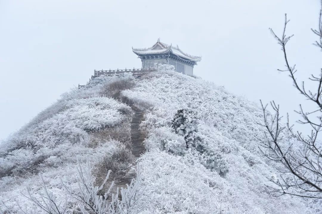 白云山顶白茫茫一片 刘艺 摄