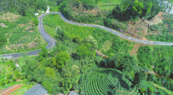 交通先行   四川推动“四好农村路”和乡村运输“金通工程”