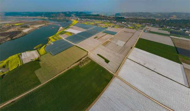 简阳：打造中国丘区集体经济发展新高地