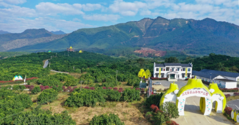 江永潇湘： “柚”是一年好丰景 乡村振