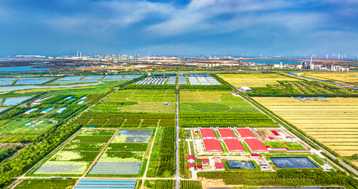 香河生态园种养殖生态循环体系