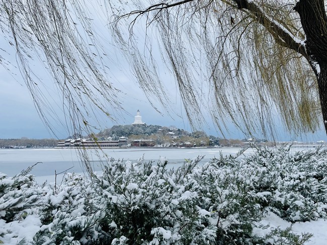 迎今冬初雪 北京市属公园接待雪中赏景游客超8万人