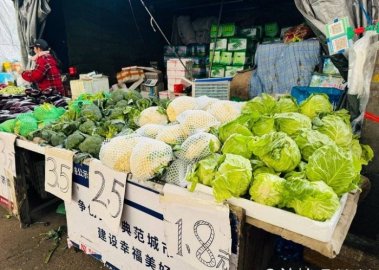 寒潮来袭降雪持续，济南“菜篮子”变沉