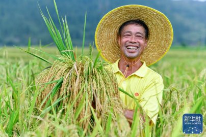 推动农民富裕富足 接续推进乡村振兴