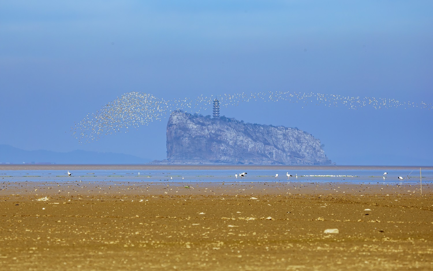 图为成群的越冬候鸟在鄱阳湖湖口鞋山水域上演壮观的“鸟浪”奇观。
