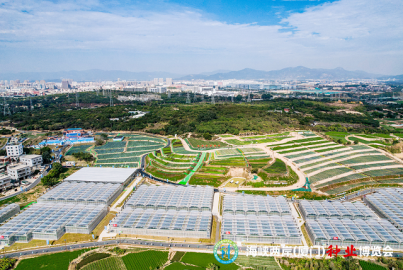 厦种强芯 筑梦未来｜2023海峡两岸种博会