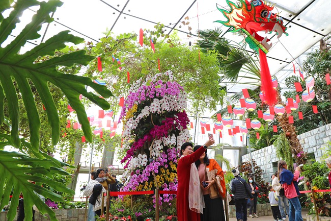 赏兰“迎福气” 国家植物园第二届兰花展正月初八闭幕