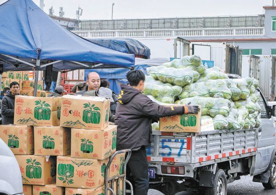 新发地蔬菜供应有条不紊