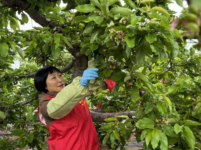 烟台市牟平区果树技术推广中心 “别开生面过三八”