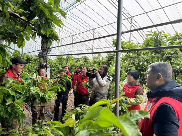 烟台市牟平区果树技术推广中心 “别开生面过三八”