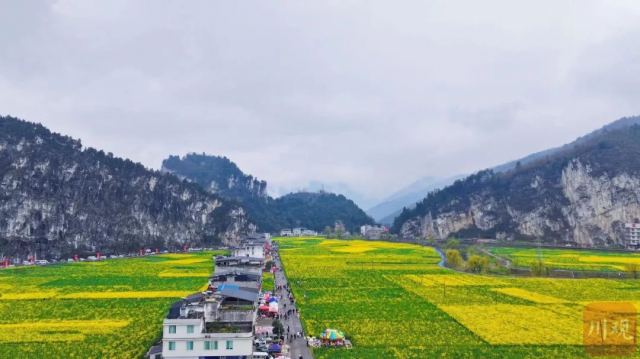 “画里乡村”走好产业发展路