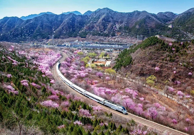 居庸关花海栈道本周六起开放