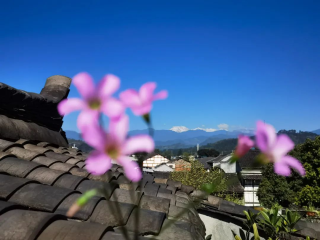 四川大邑的春天