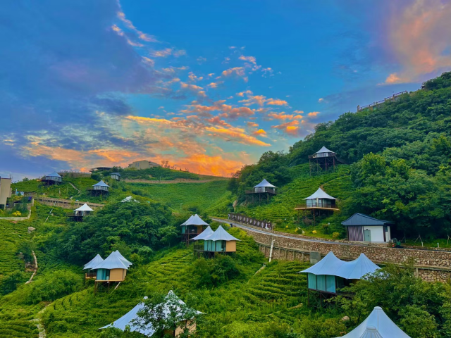 信阳：“醉美茶乡约你相见”旅游线路入选全国乡村旅游精品线路