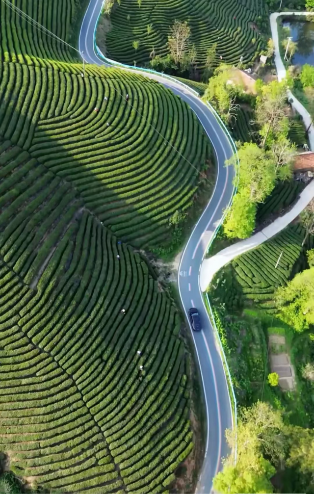 信阳：“醉美茶乡约你相见”旅游线路入选全国乡村旅游精品线路