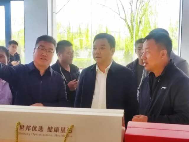 陇西县副县长朱耀武带队赴渭源县学习考察“定西宽粉”产业