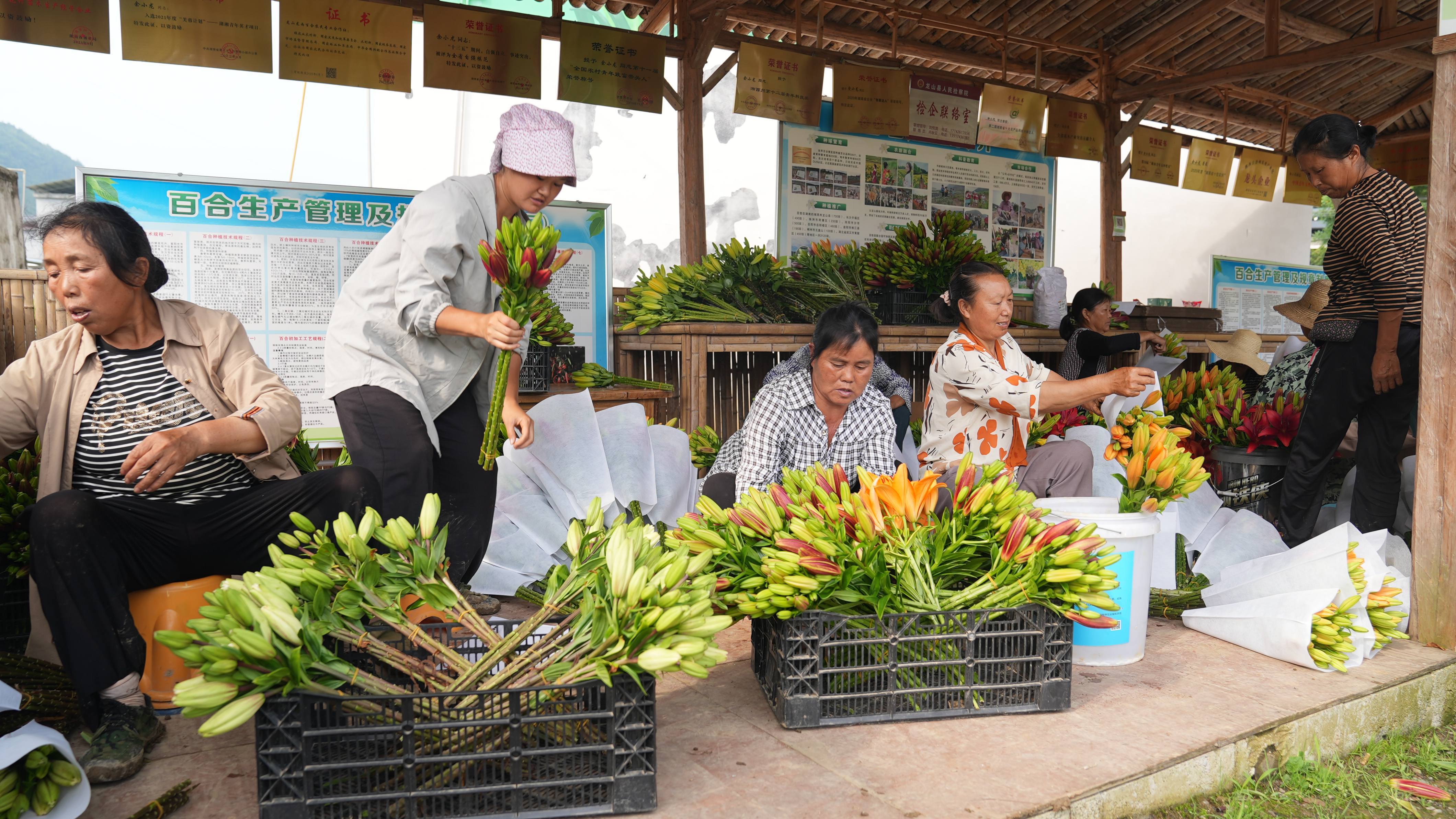 彭翠英和村民一起打包刚刚采摘好的百合花。