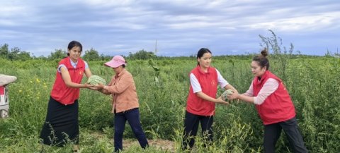 西瓜丰收有“甜头” 乡村振兴有“奔头”