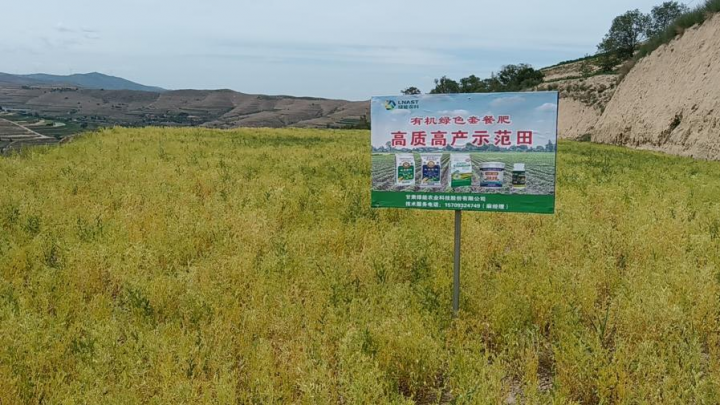 “绿能农科”复合微生物肥料和有机肥陇西示范田长势喜人