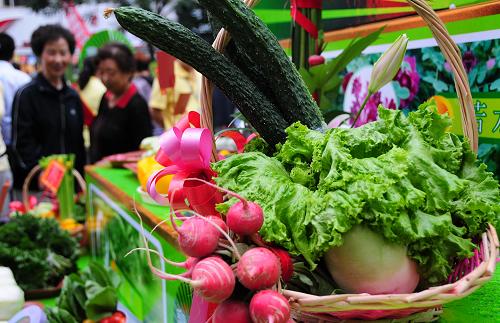 兰州高原夏菜喜获全国大暑节气名优特产