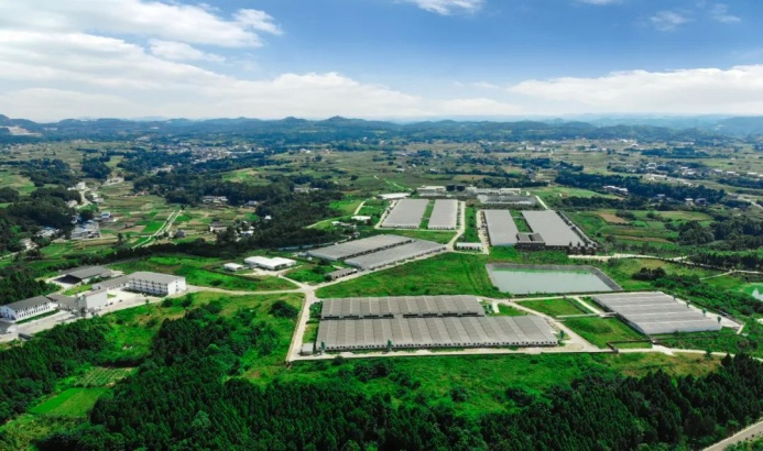 四川高度重视和大力推进县域经济发展纪实县域经济四川篇：“强干弱”协同  巴蜀大地高质量发展之花强劲绽放