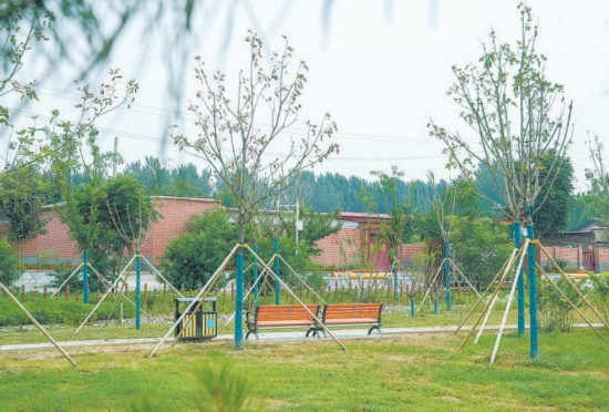 北京市四村庄试点建设花园乡村