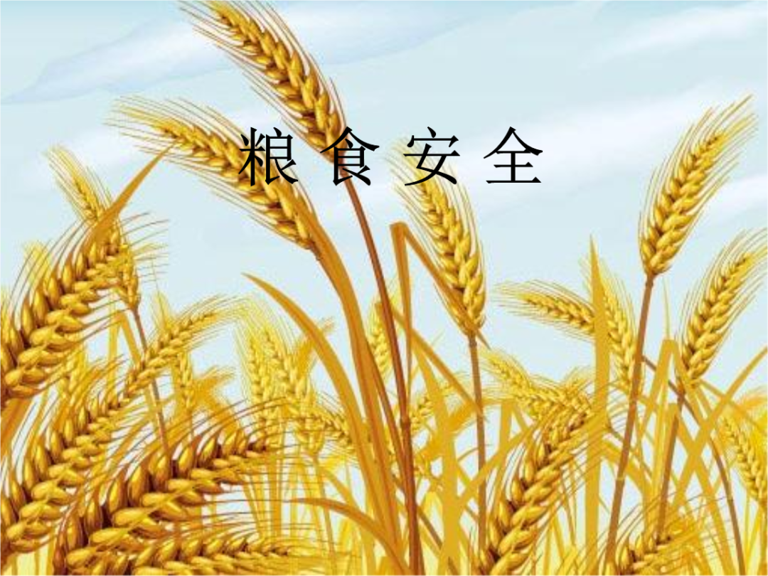 保障粮食安全 无锡交出新答卷