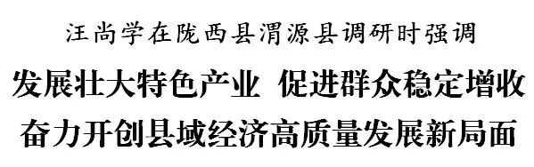 定西市委书记汪尚学深入陇西县渭源县调研