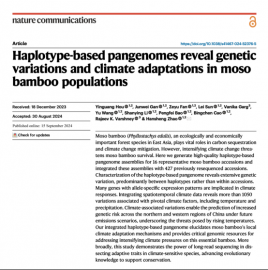 国际竹藤中心发布首个毛竹泛基因组