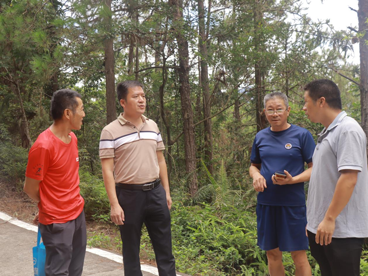 仙游县黄洋村：林权股改集体股份制成功试行第一村