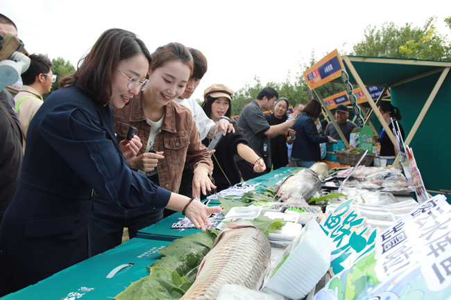 北京·密云鱼王美食文化节开幕 “鱼王”重达57.5斤