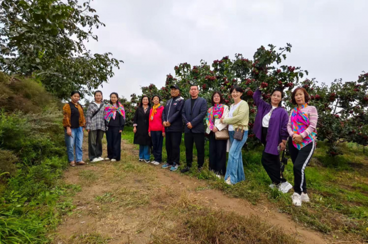 迎国庆 庆丰收 促振兴 乔家湾镇成功举办首届红果文化旅游节