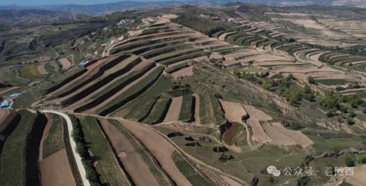 陇西福星镇：高标准农田建设筑牢粮食安全生产“耕”基