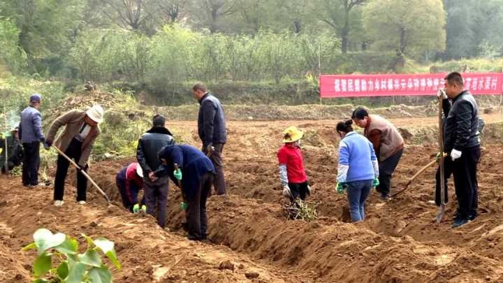 民盟助力乡村振兴“云朵玫瑰”种植示范基地落地临洮县八里铺镇水渠村