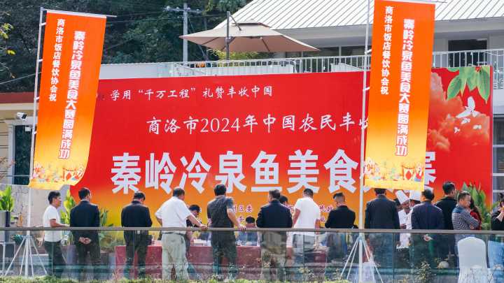 商洛市成功举办2024年中国农民丰收节，展现乡村振兴新气象