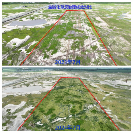 攻坚破难 典型示范 昔日盐碱地再现“绿