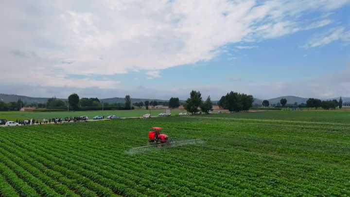 ​安定区：打造马铃薯全产业链 小土豆长成大产业