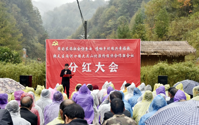 四川广元市朝天区集体经济结硕果