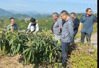 福建仙游：全力推进新时代山海协作