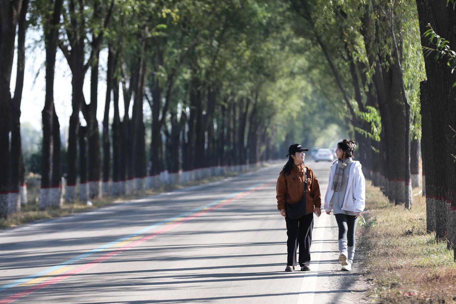 漫步榆次蔬果廊带，感受田园风情。