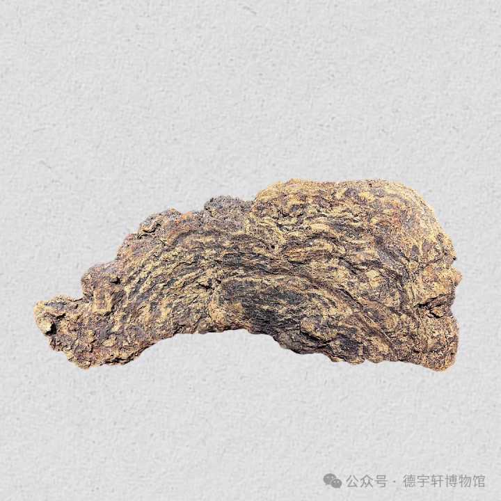 探秘兰州德宇轩博物馆中的中医药瑰宝