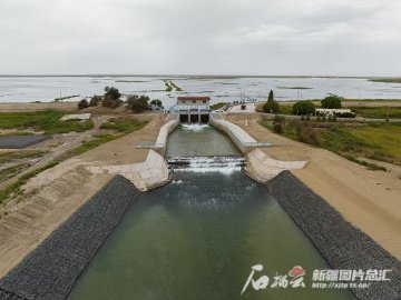 新疆洪水资源利用率达80% 南疆多地小麦从