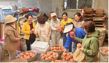 烟台市女企业家协会开展走访会员单位活动