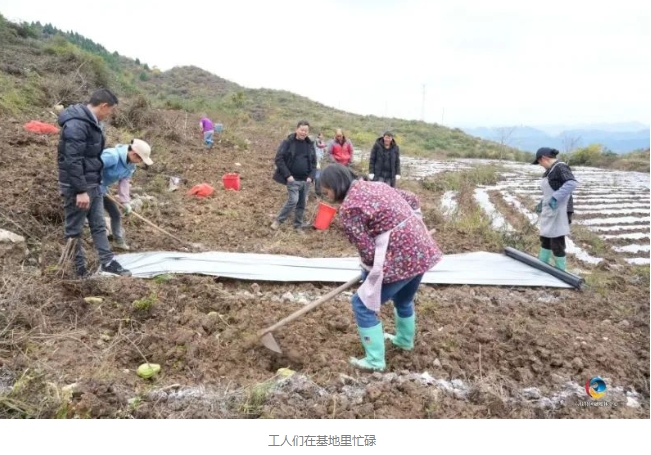 六枝特区月亮河乡直溜村：唤醒“沉睡”