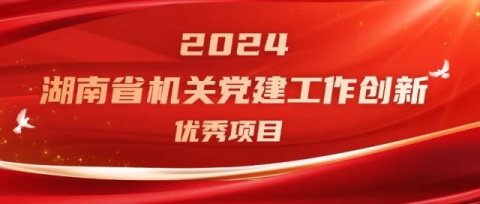 湖南省自然资源事务中心：让党旗在地质